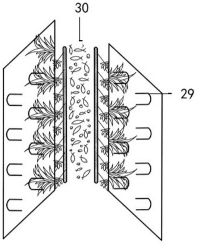 Purification system for integrated culture of fishes and shrimps