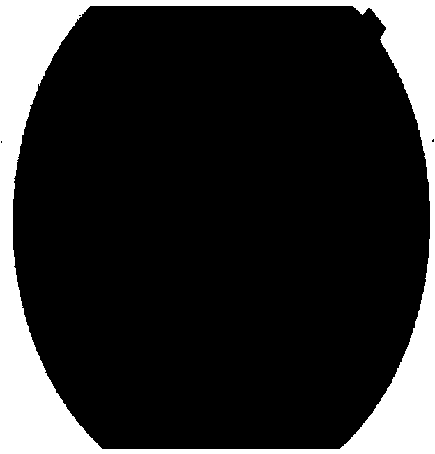 Eye fundus image registration method, eye fundus image optic disk nerve and vessel measuring method and eye fundus image matching method