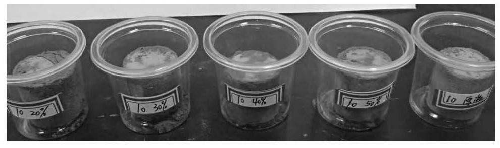 A dual-phase organic-inorganic hybrid silica sol and its preparation method and application