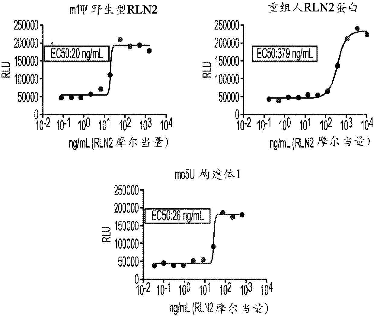 Polynucleotides encoding relaxin