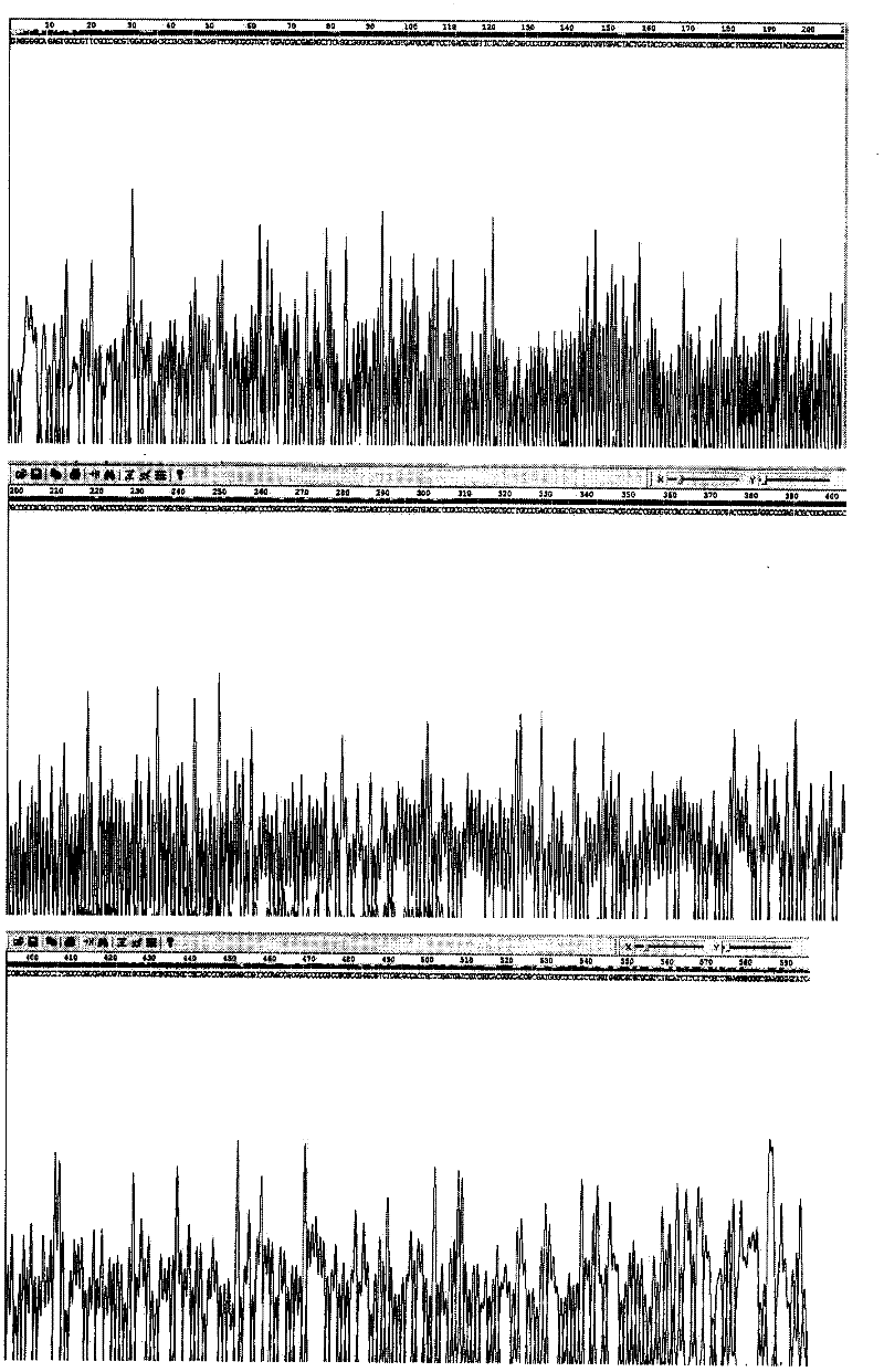 Pig pseudorabies virus natural low-virulent C strain and heatproof preservation method thereof