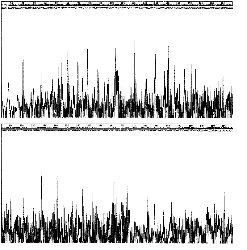 Pig pseudorabies virus natural low-virulent C strain and heatproof preservation method thereof