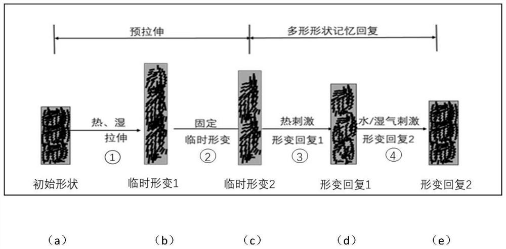 Multi-shape- shape- memory driven intelligent optical film with multi-structural color conversion, and preparation method and application of multi-shape shape memory driven intelligent optical film with multi-structural color conversion