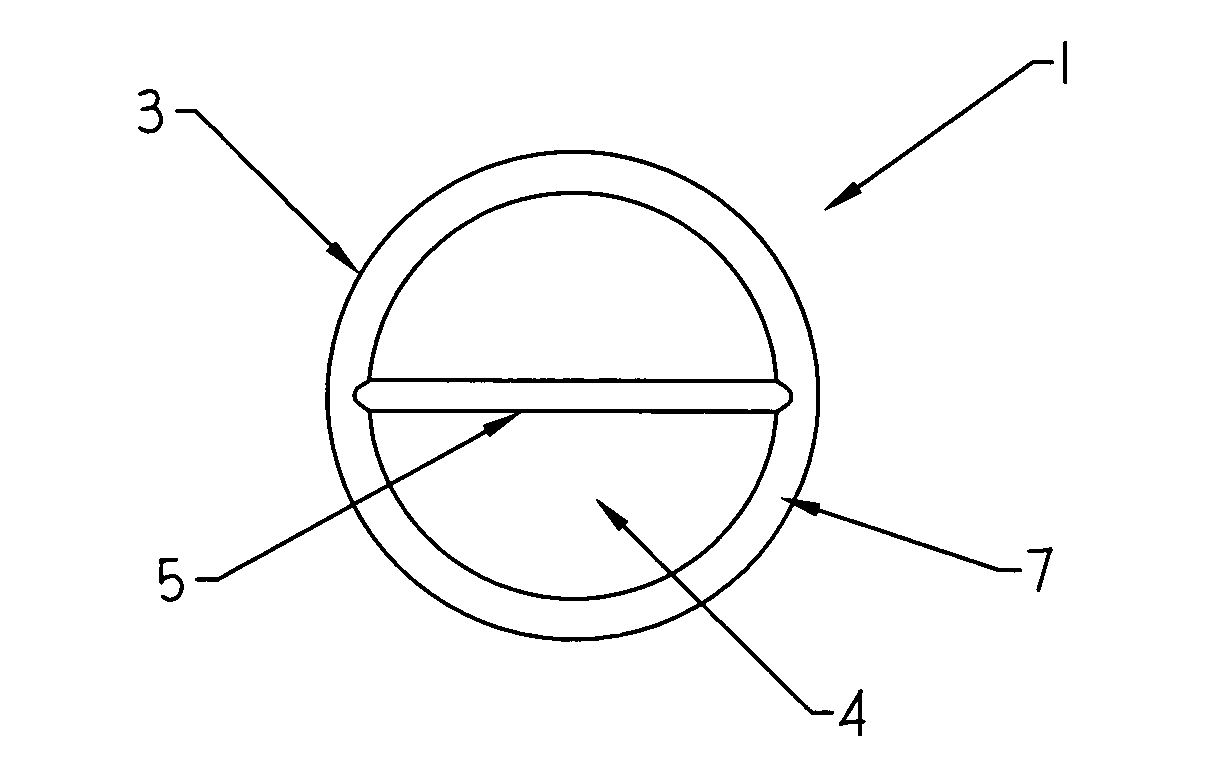 Weighted exercise ring and system