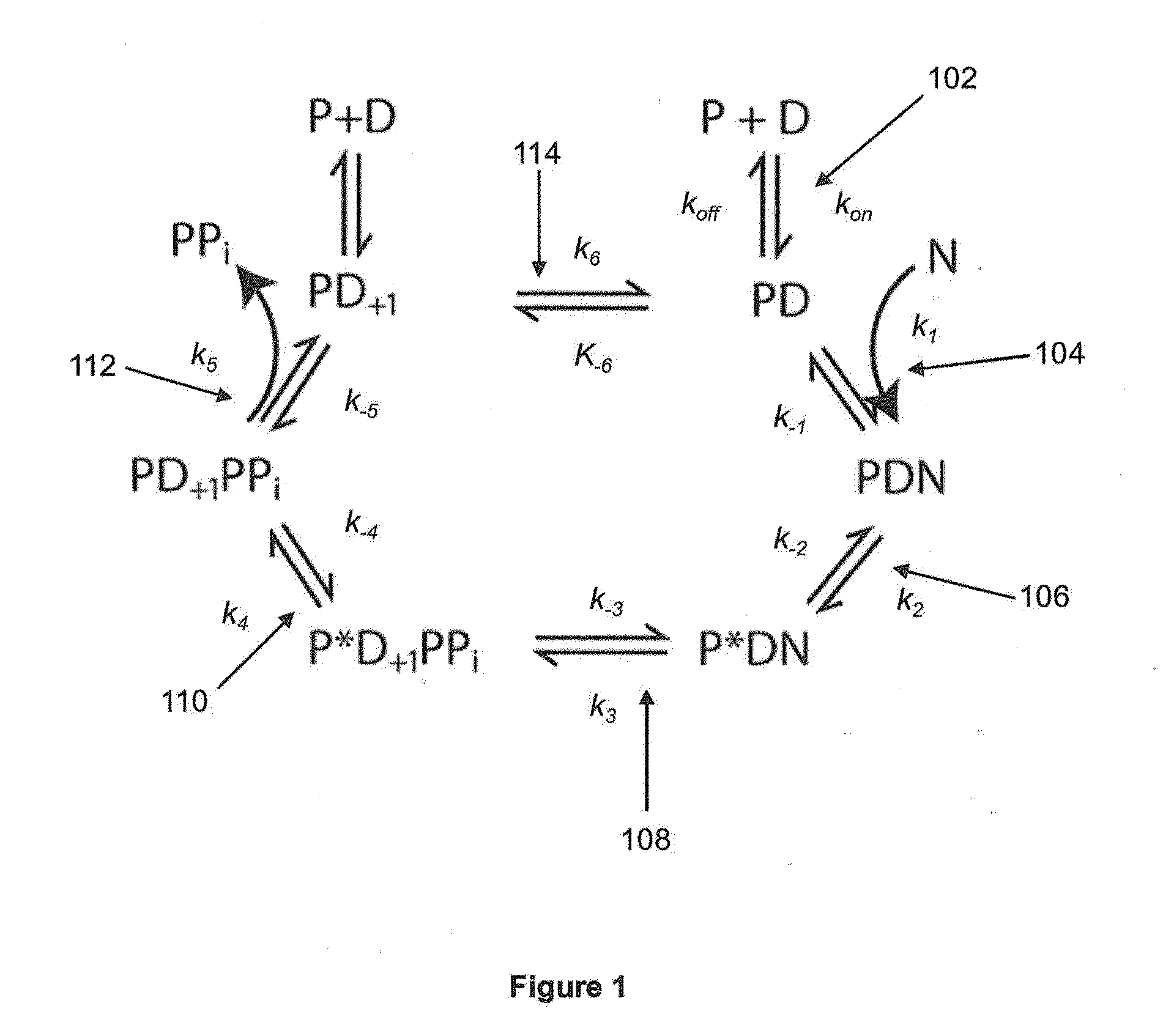 Sequencing reactions with alkali metal cations for pulse width control