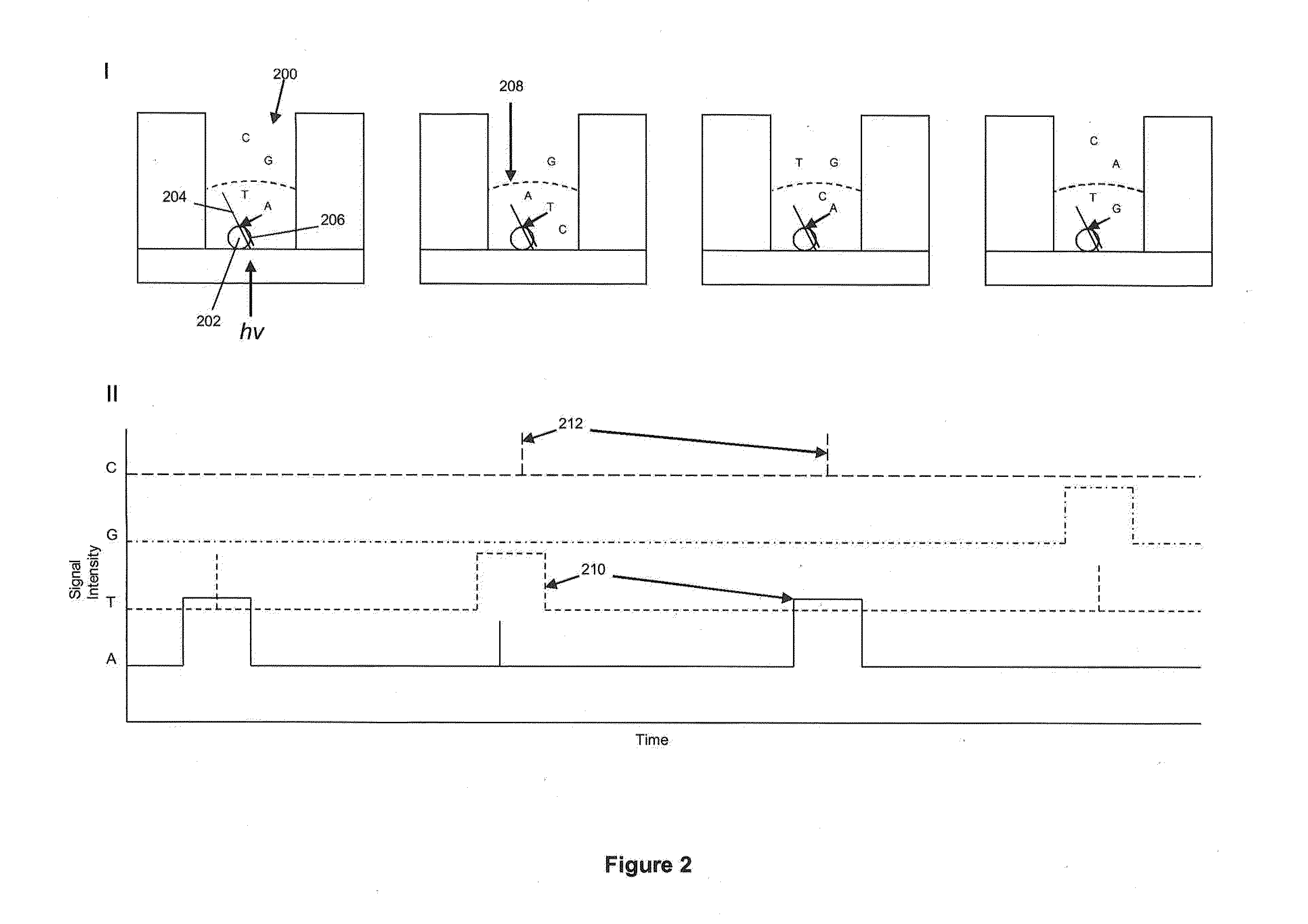 Sequencing reactions with alkali metal cations for pulse width control