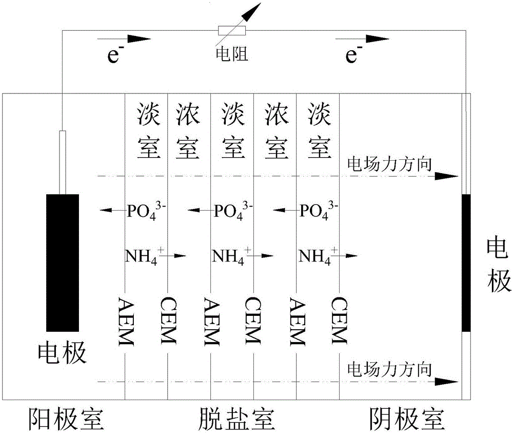 Denitrification method of ammonia-nitrogen wastewater and microbial desalination tank