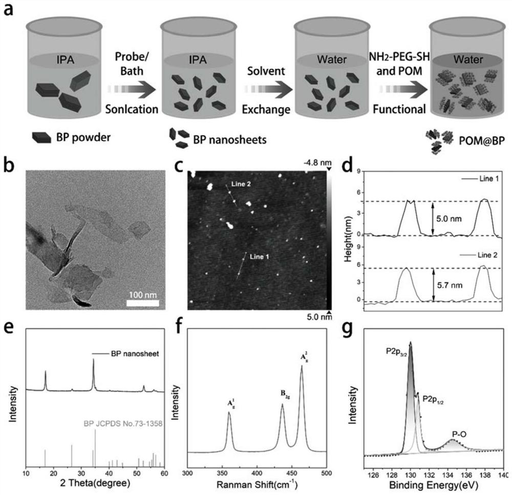 Photothermal enhanced photosensitizer based on black phosphorus, and preparation method and application thereof