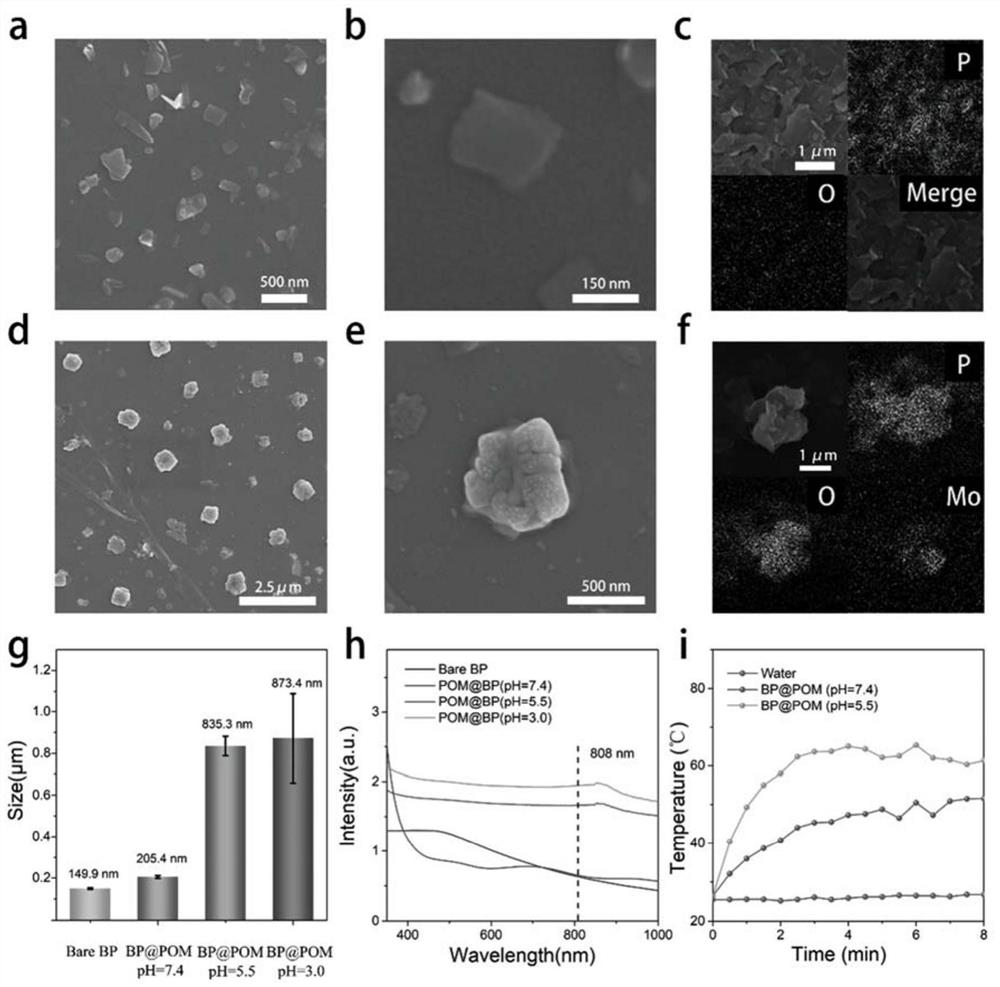 Photothermal enhanced photosensitizer based on black phosphorus, and preparation method and application thereof