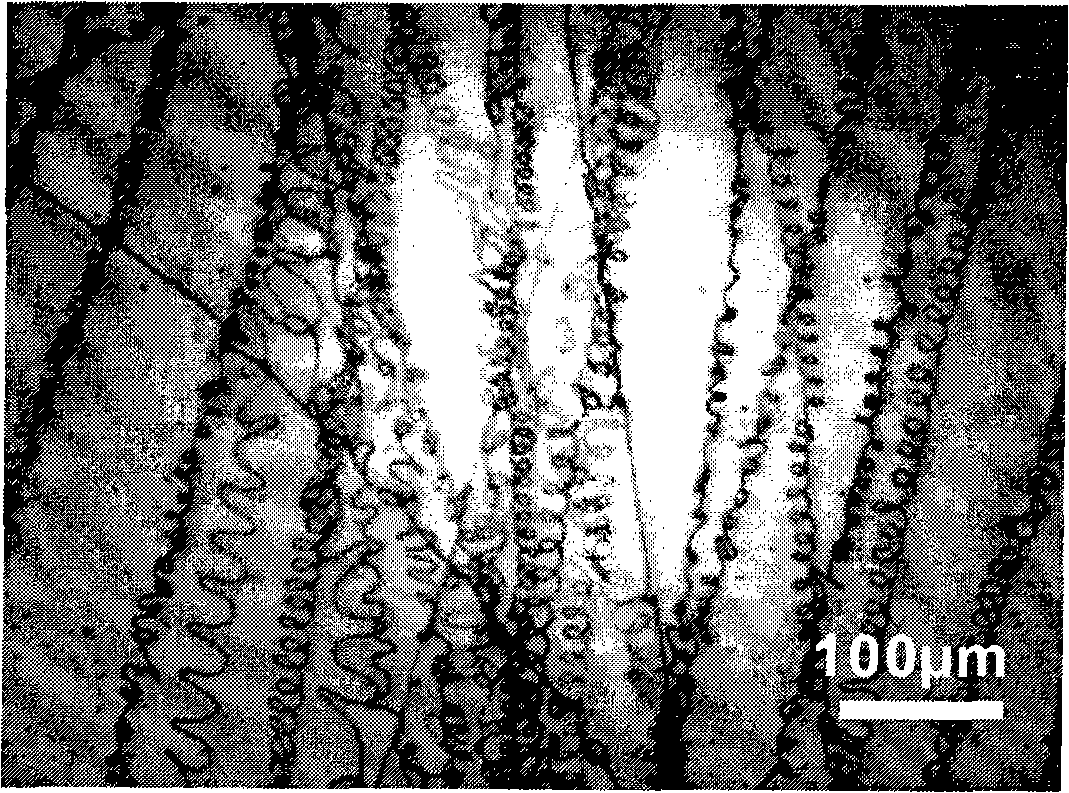 Electro spinning method for preparing orientation arranged polymer spiral nano-fibre and equipment thereof