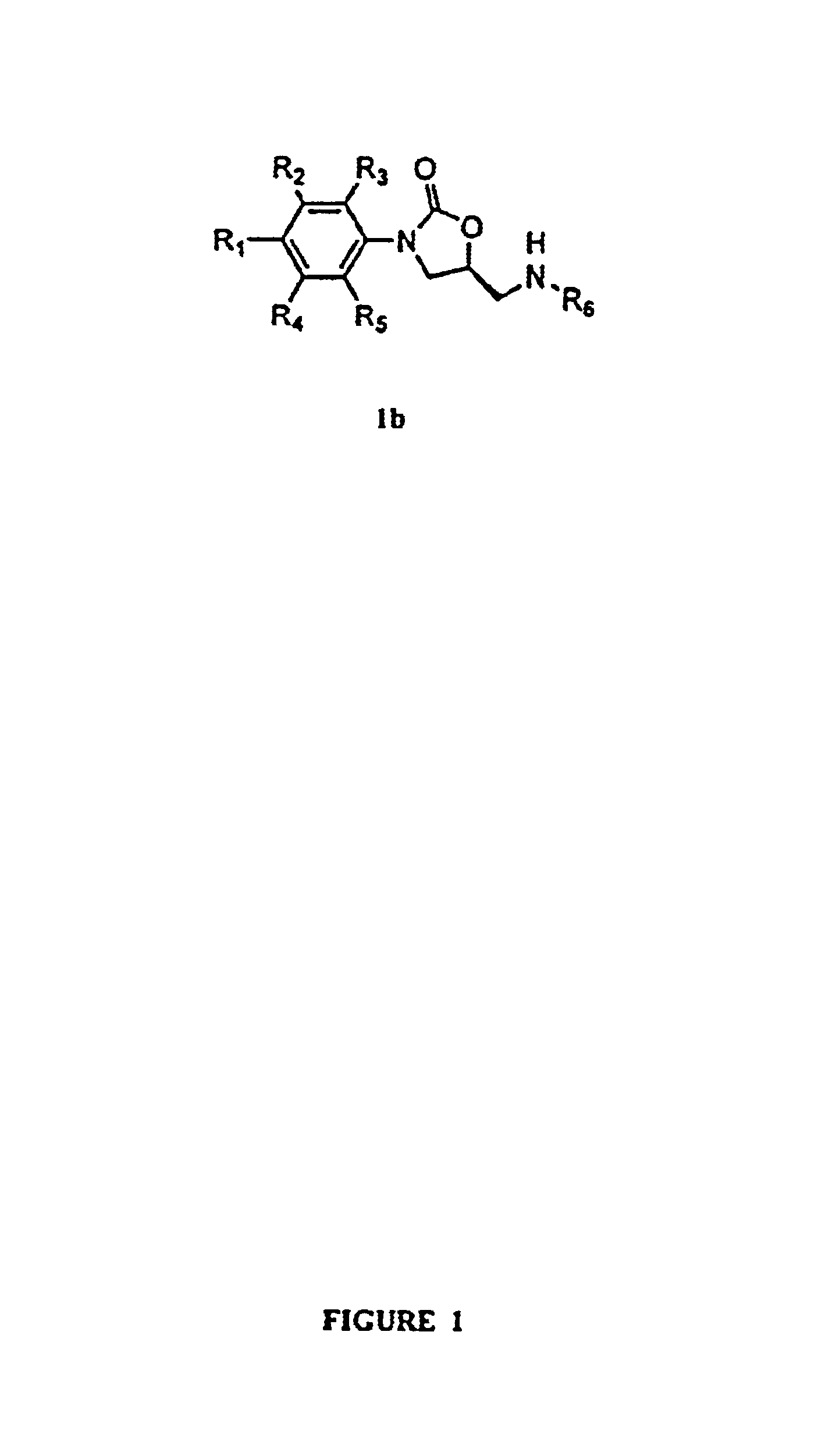 Oxazolidinone combinatorial libraries, compositions and methods of preparation