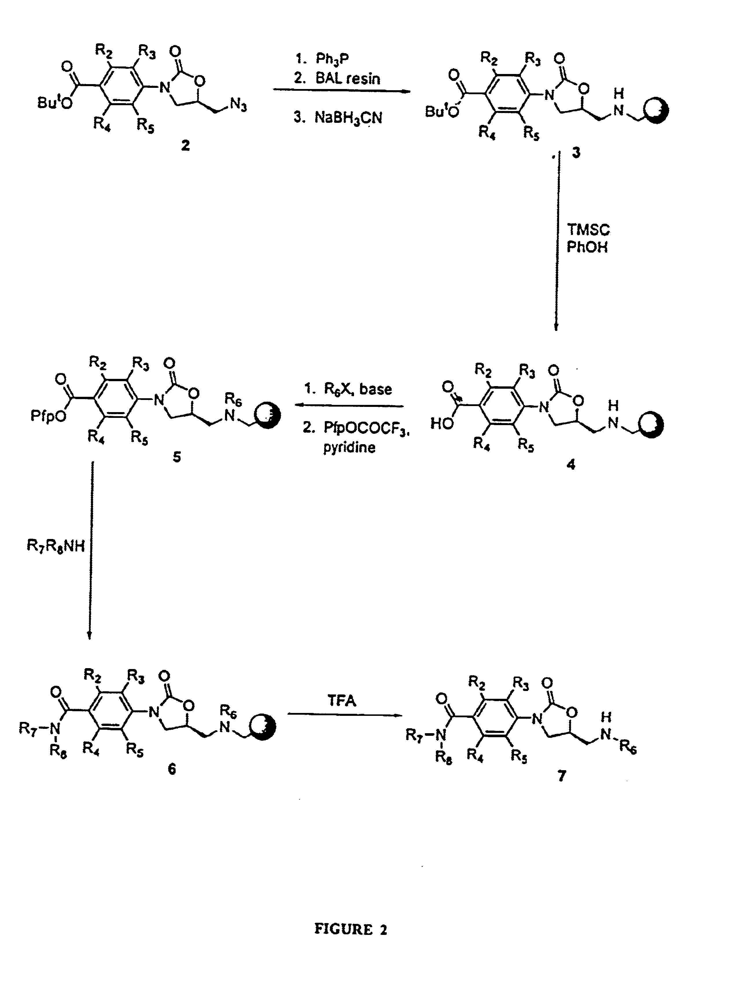 Oxazolidinone combinatorial libraries, compositions and methods of preparation