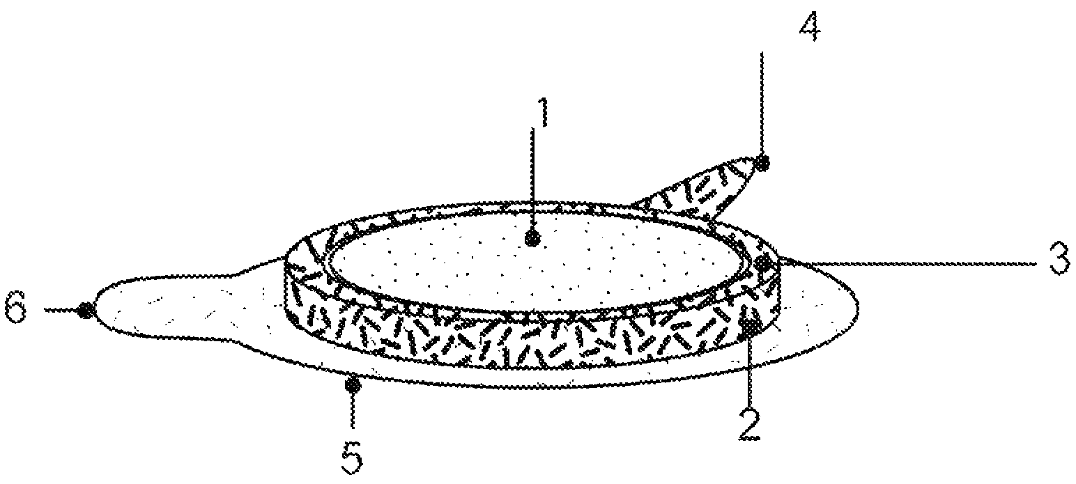 Hydrogel ultrasound coupling device