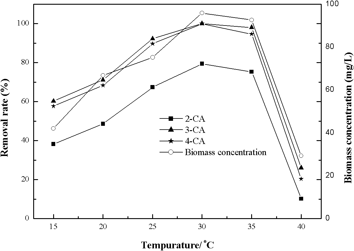 Delftia tsuruhatensis strain H1 with chloroaniline degradation capacity and application thereof