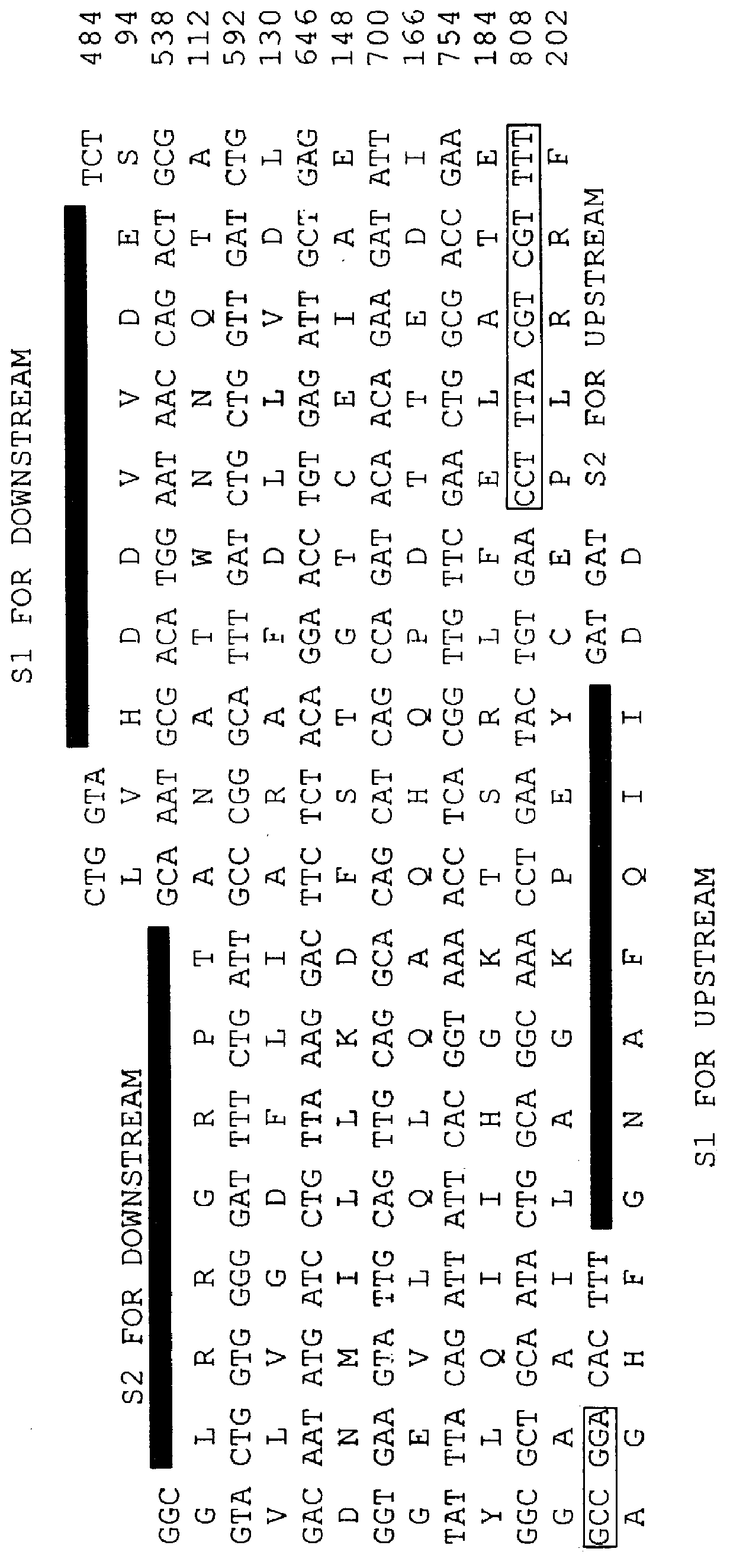 Method of forming ubiquinone-10