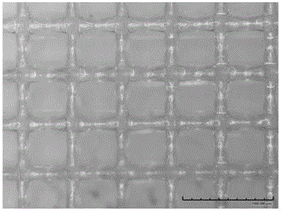 Rapid prototyping preparation method of implant material of plastic surgery