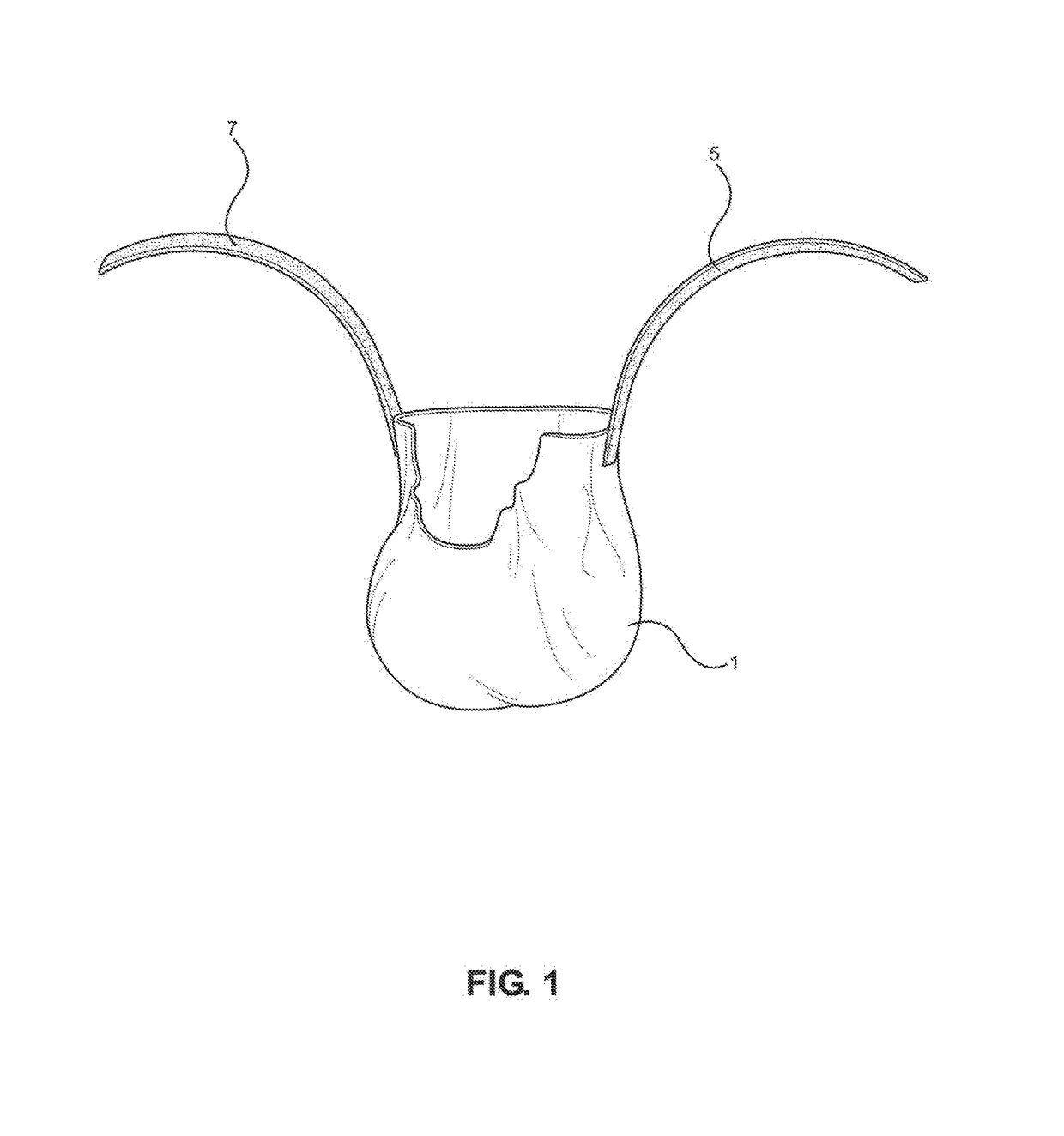 Support device for male genitalia