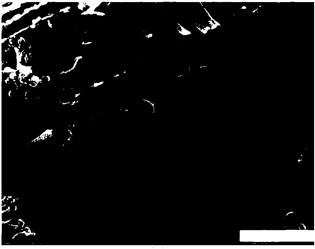 Preparation method of high mesoporous rate nitrogen doped carbon electrode material