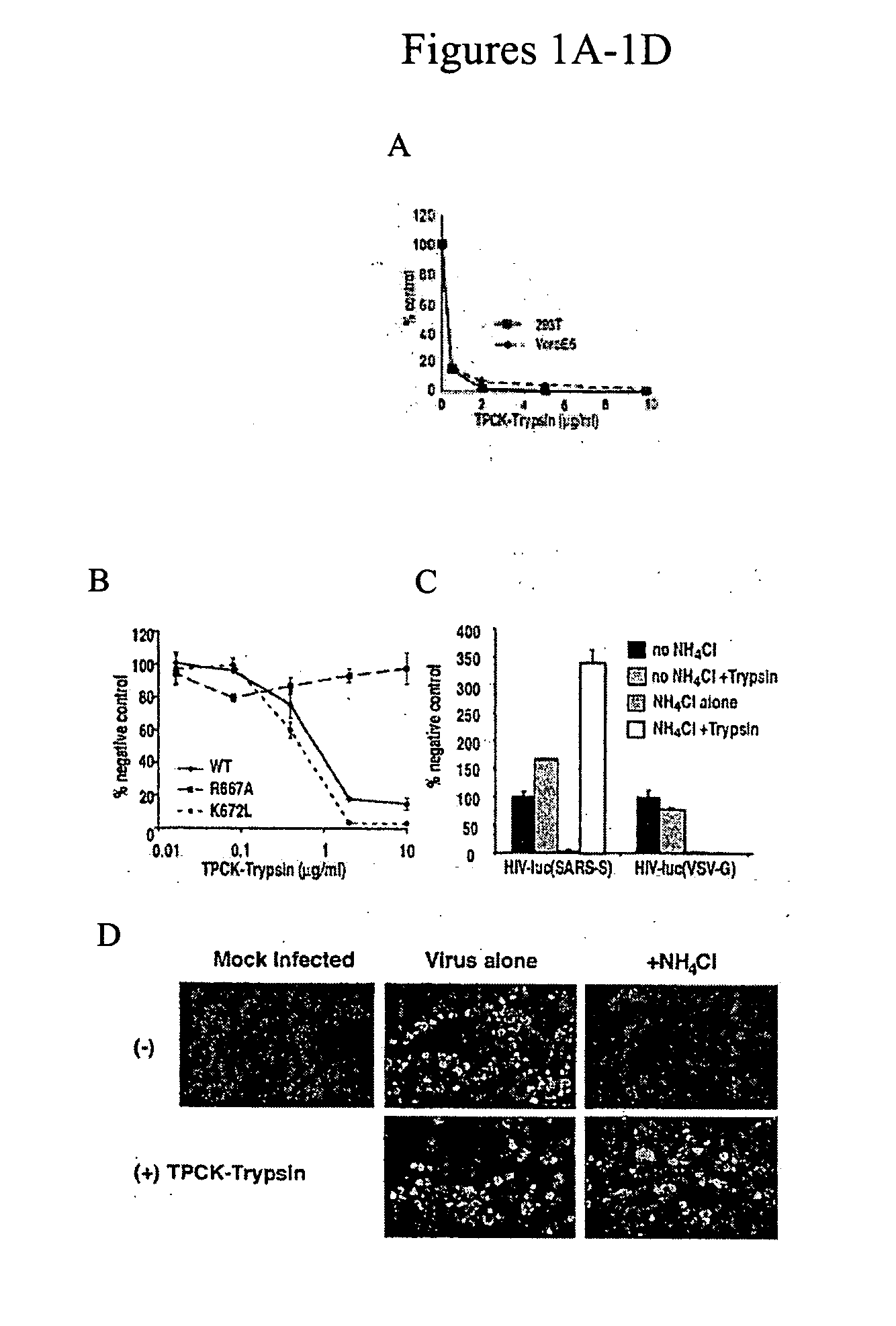 SARS and Ebola inhibitors and use thereof, and methods for their discovery