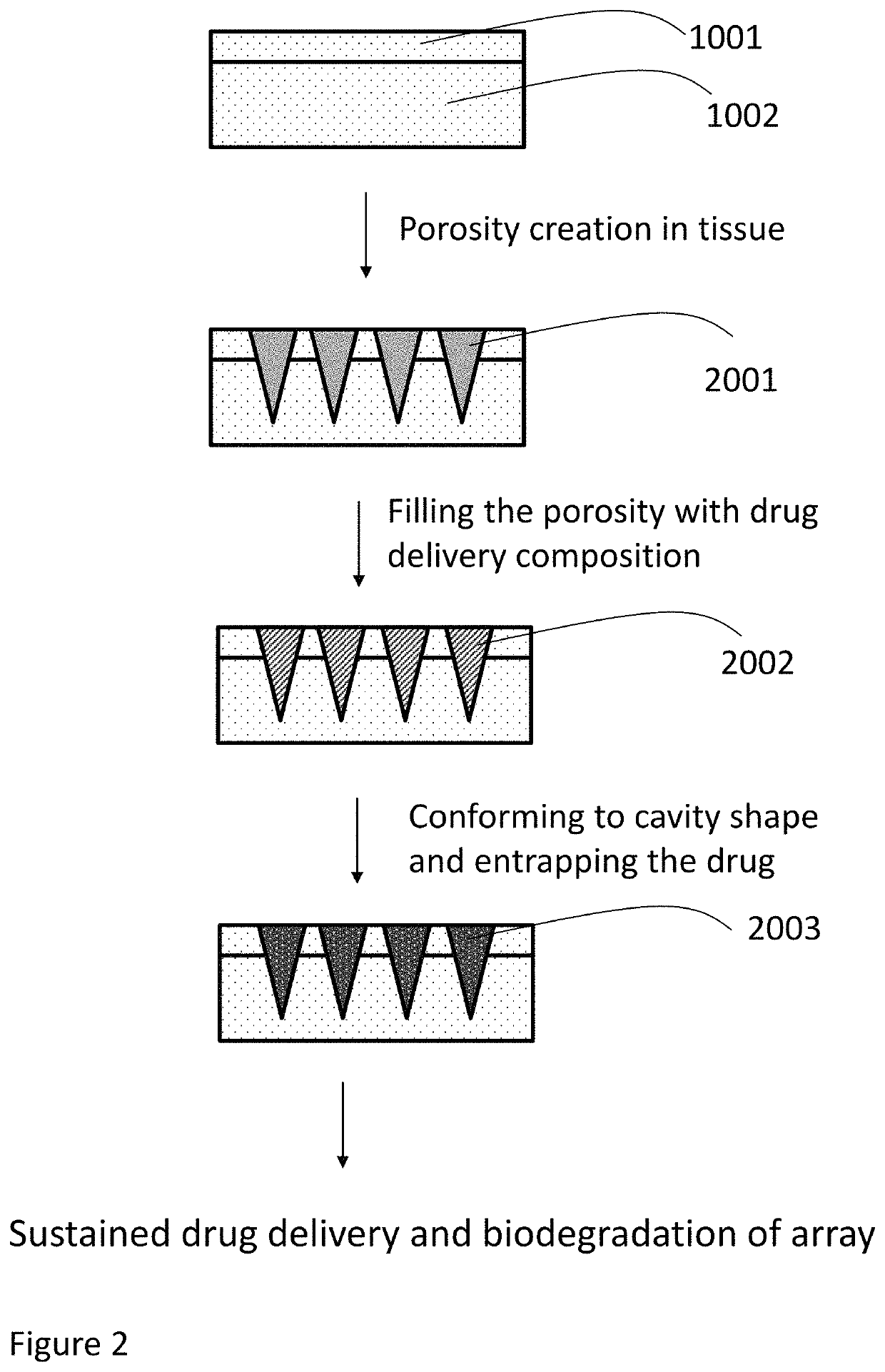 Methods, compositions, and devices for drug/live cell microarrays