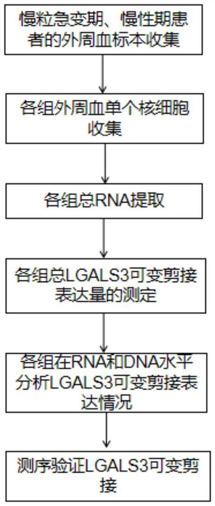 Reagent and kit for diagnosing acute change period of chronic myeloid leukemia based on LGALS3 splicing variant