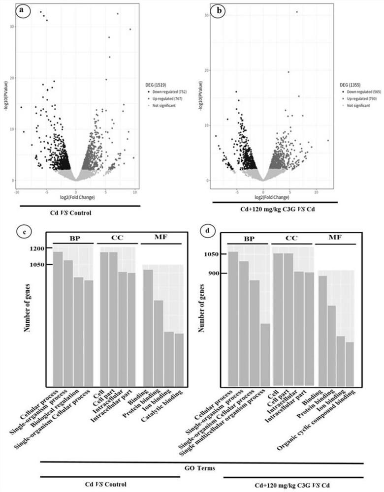 Application of cyanidin-3-O-glucoside in preparation of medicine for treating and/or preventing endometrial hyperplasia disease