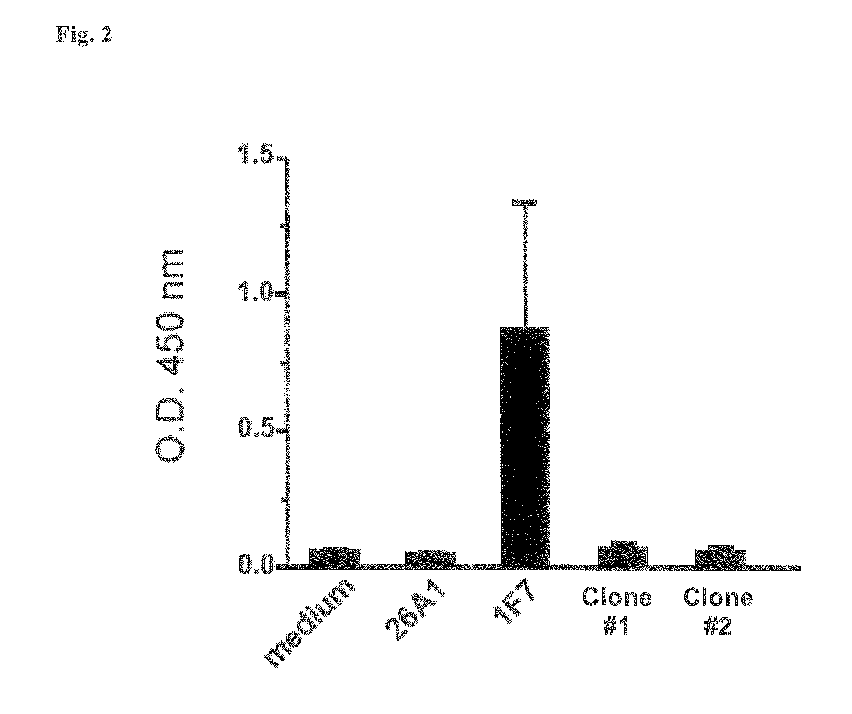 Antibodies against human cytomegalovirus (HCMV)