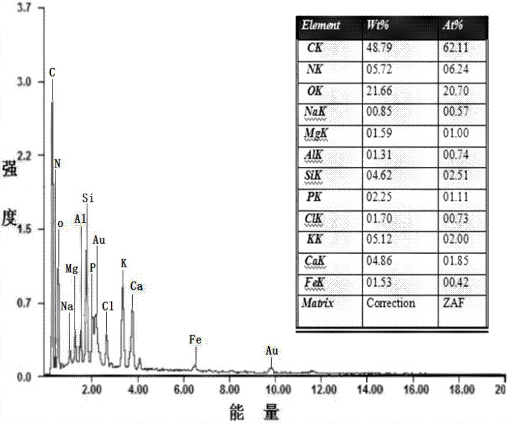 Manganese dioxide modified biochar composite material as well as a preparation method and an application thereof