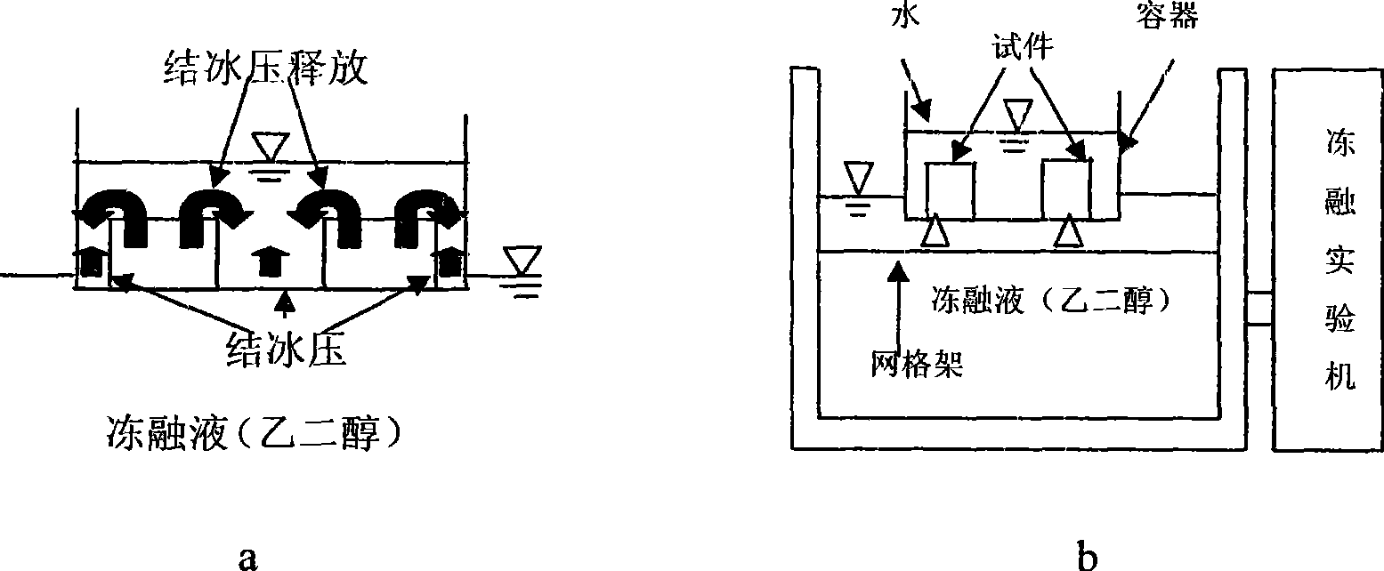 Method for testing dough recovery of ecological type porous concrete