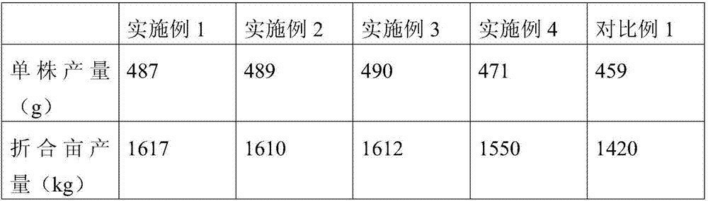 Method for planting organic Black Beauty potatoes