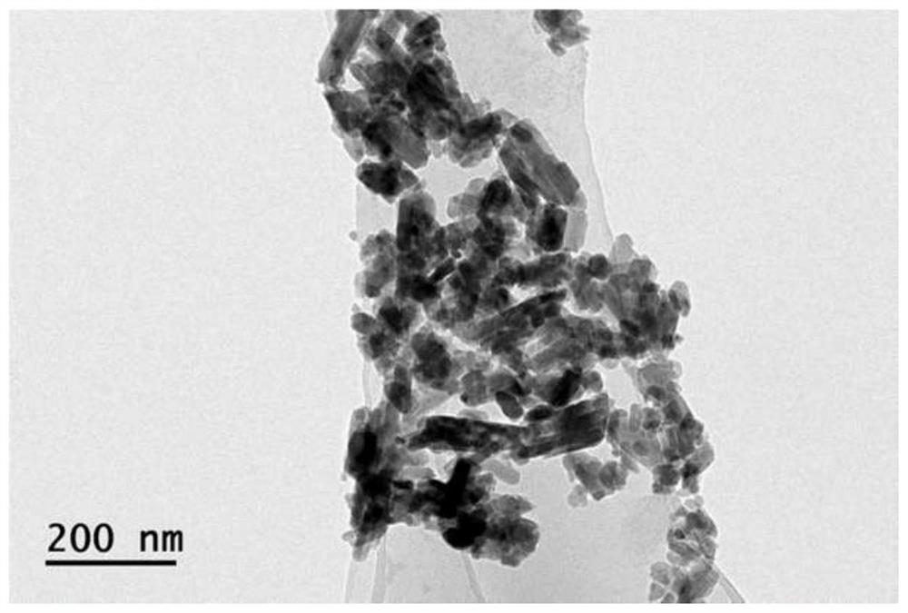 Gamma-type manganese dioxide composite sulfur positive electrode material, carrier, preparation method and application