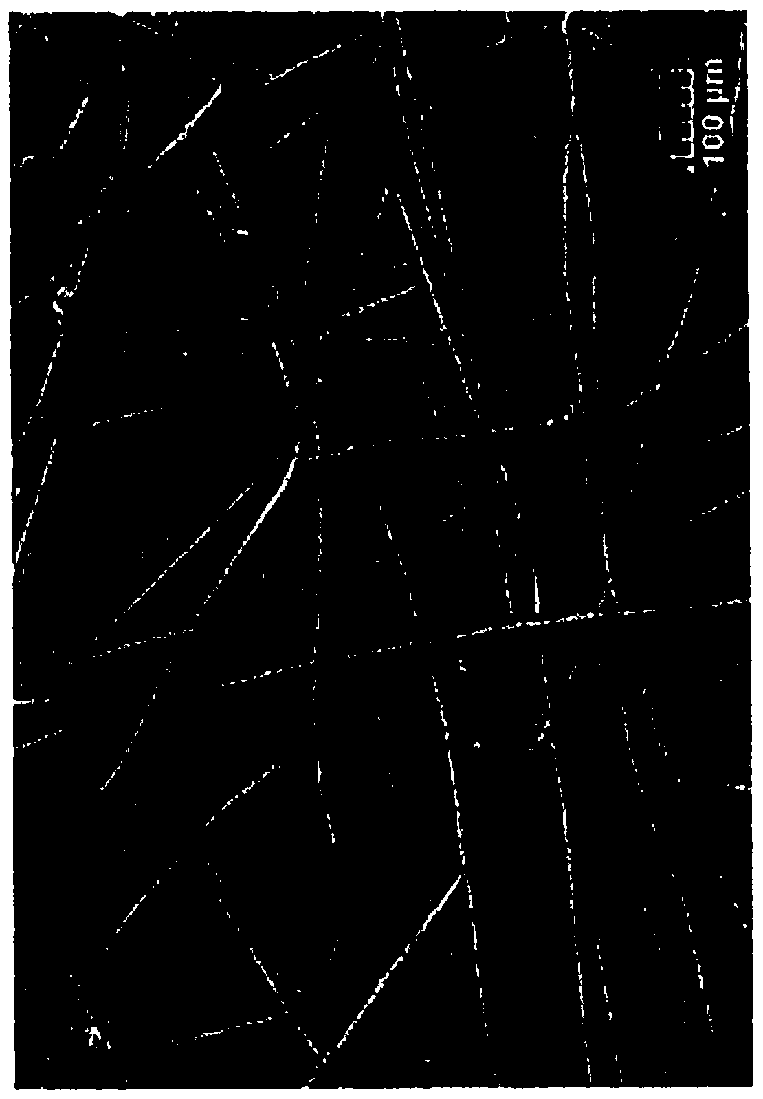 Catalytic and sorptive articles comprising metal fiber felt substrates