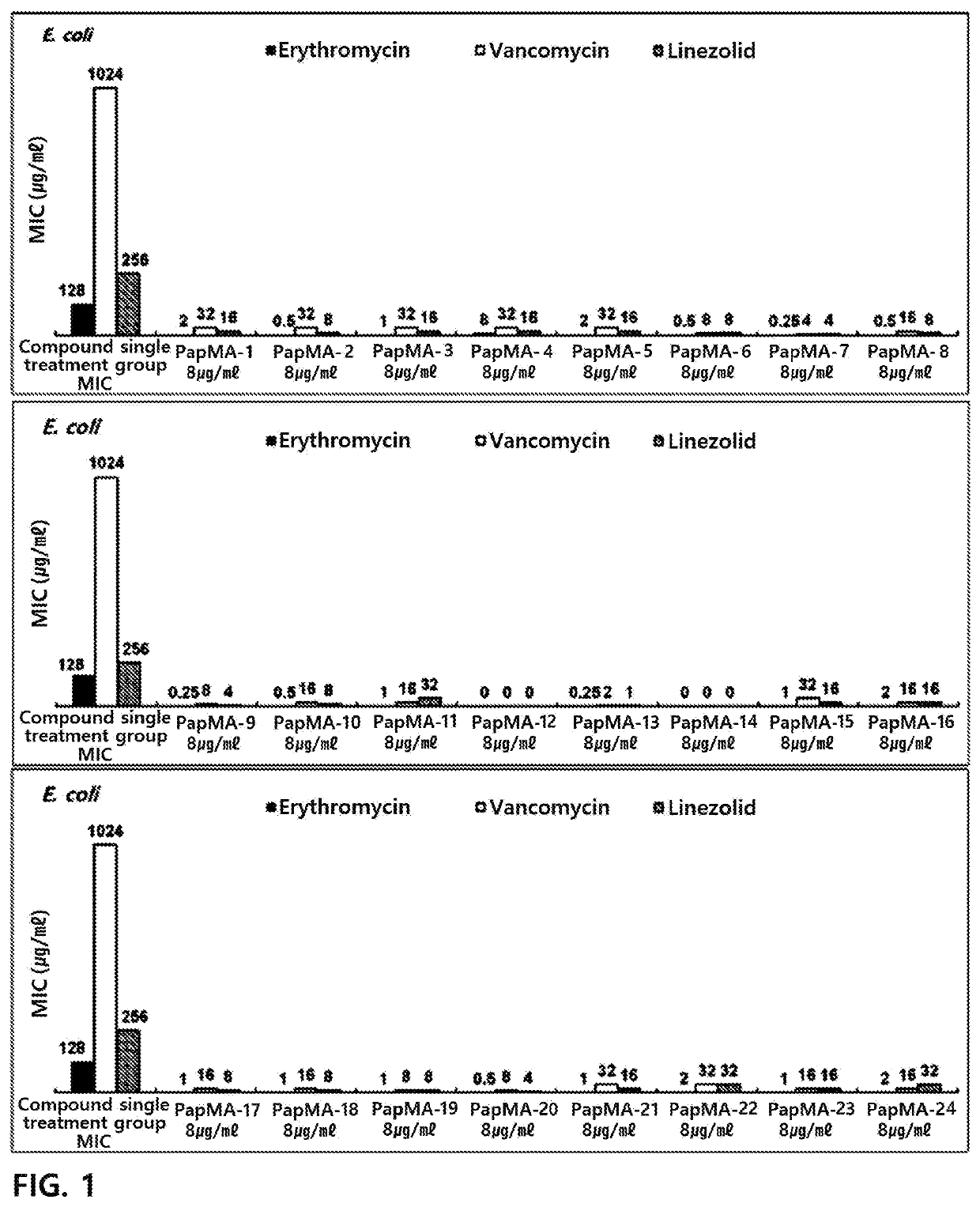 Antimicrobial peptide having synergistic antibacterial effect with antibiotics on multidrug resistant bacteria, and use thereof