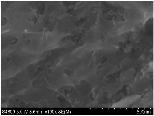 A method for preparing porous boron carbon nitrogen nanosheets by freeze-drying