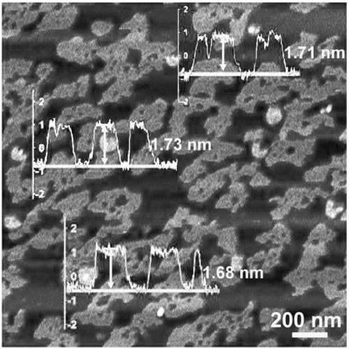 A method for preparing porous boron carbon nitrogen nanosheets by freeze-drying