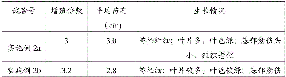 Paraserianthes falcataria clone tissue culture method