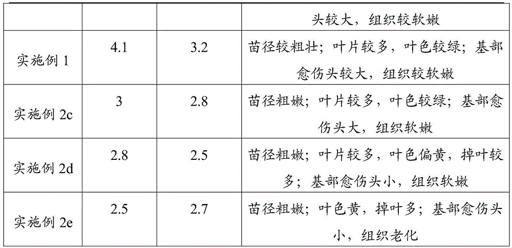 Paraserianthes falcataria clone tissue culture method