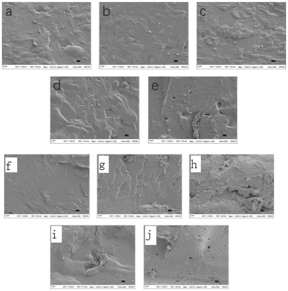 Preparation of PVA/cassava starch/LAE/anthocyanin intelligent color-developing active composite membrane and application of composite membrane in packaging bacteriostasis