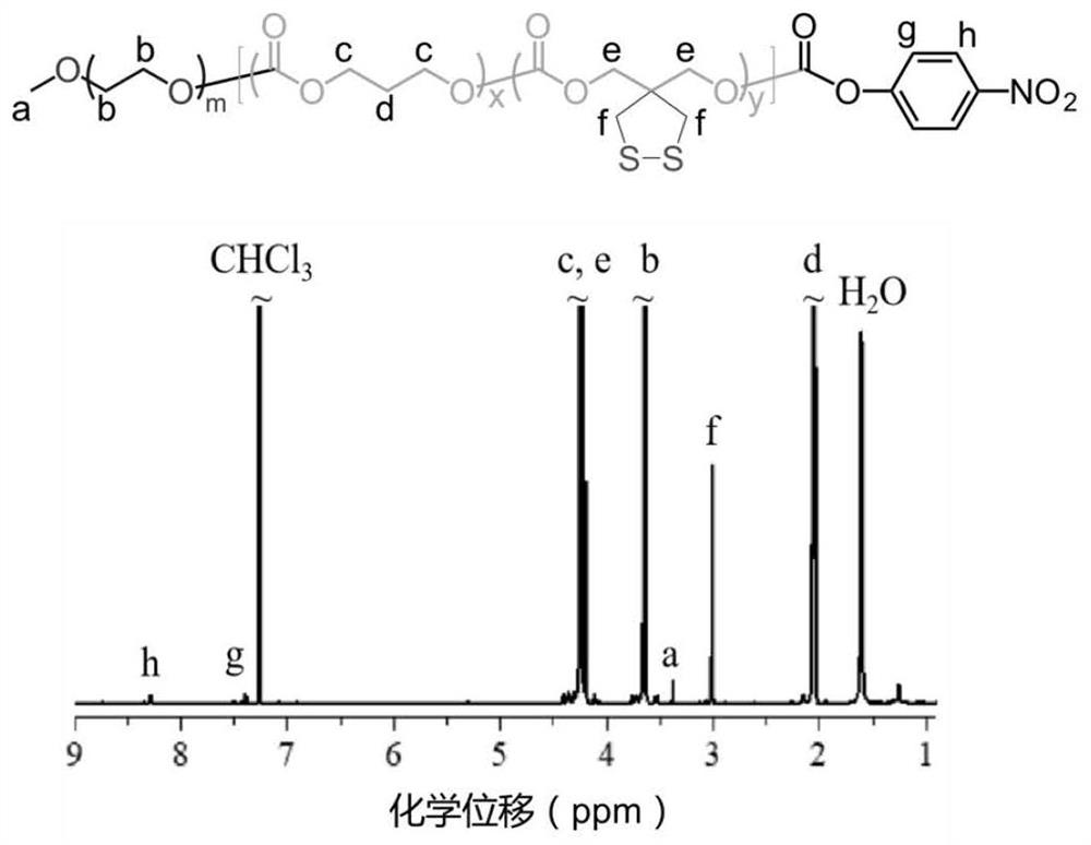 Drug-loaded polymer vesicle with asymmetric membrane structure, preparation method and application in preparation of drug for treating acute myeloid leukemia