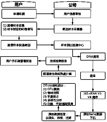 Method for monitoring micro-ecologic maturity of extracted stool sample 16s rRNA in intestinal tract of infant