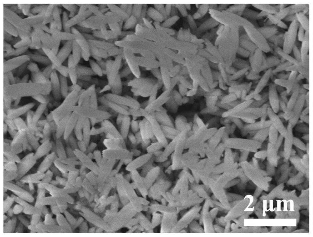 CdZnS superfine nanoparticle loaded In2O3 fusiform nanorod composite material, and preparation method and application thereof