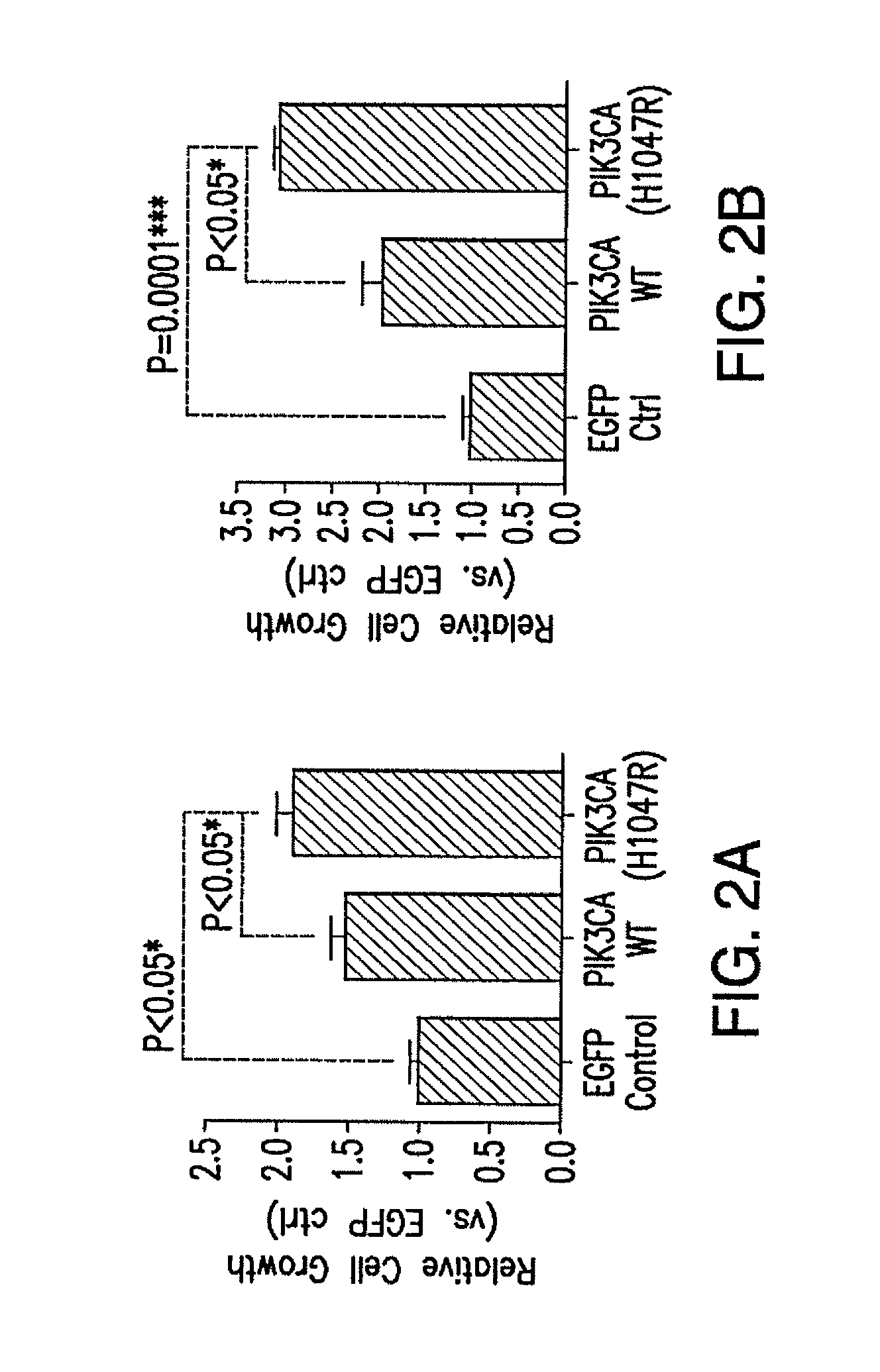 Functional genomics screening platform for head and neck cancer