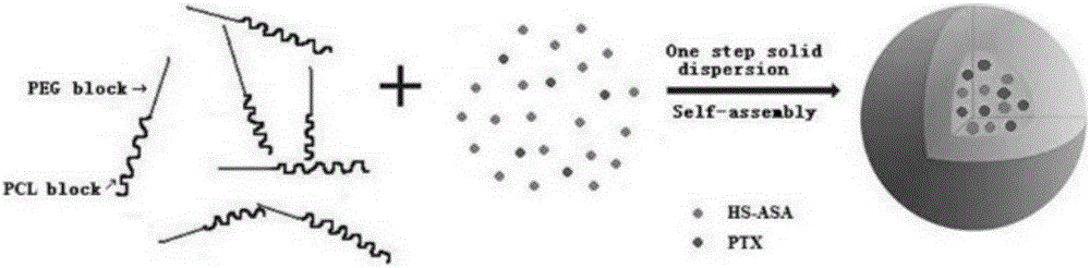 Anticancer drug composition nano-preparation, preparation method and application of nano-preparation to malignant tumor treatment