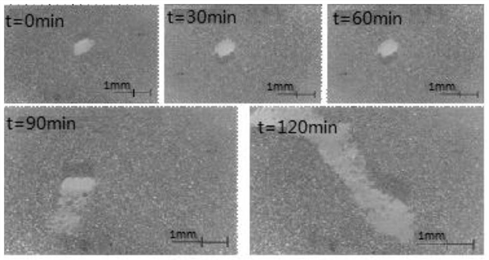 Application of expandable particle, and interface cleaning agent