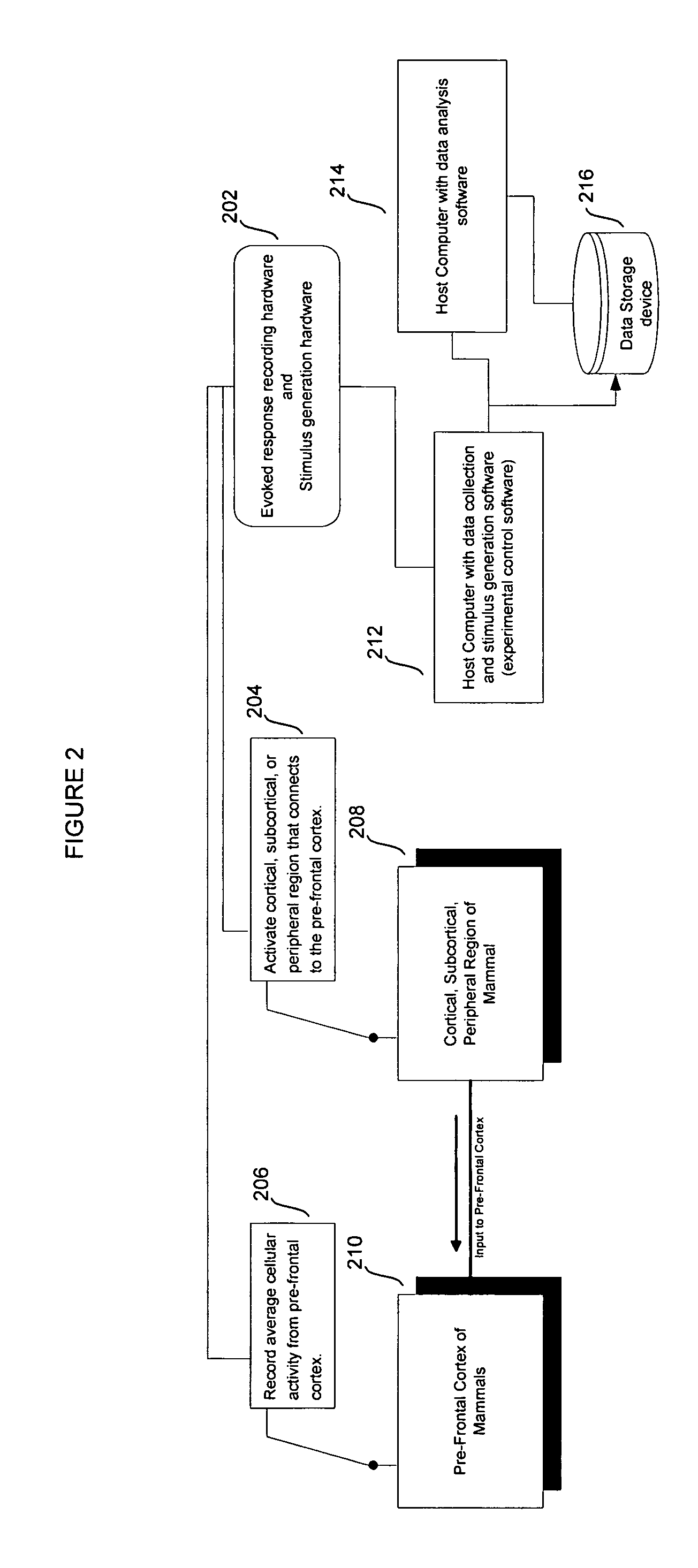 Electrophysiological screens for cognitive modulators