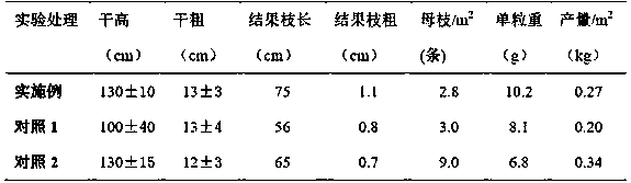 Method for grafting, shaping and pruning of Panlong chestnut