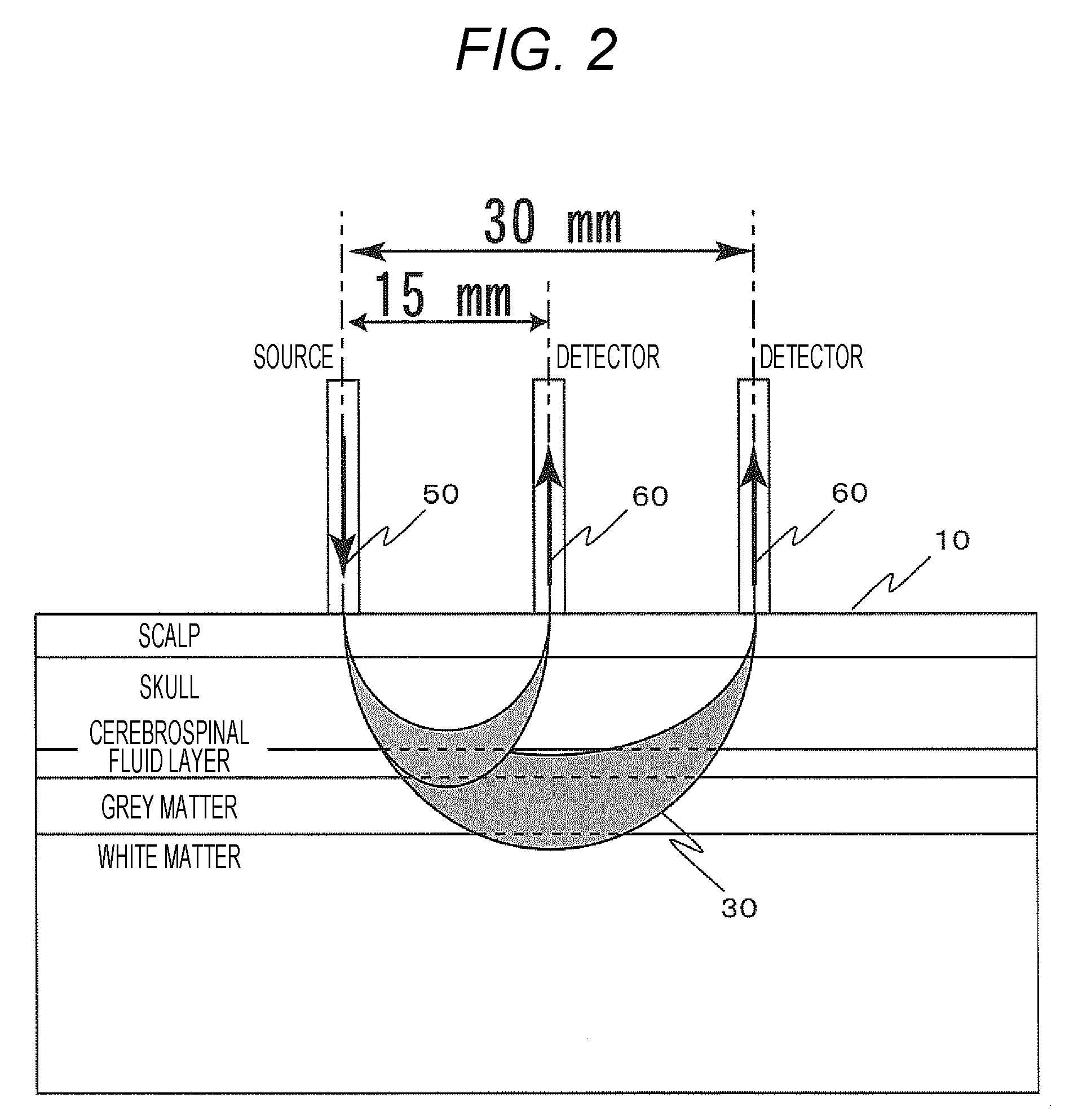 Biophotonic measurement apparatus and biophotonic measurement method using same