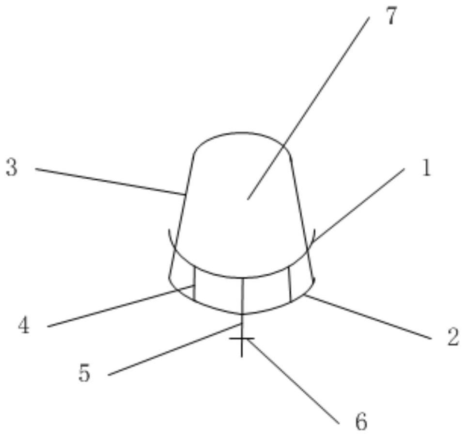 The method of grafting and growing seedlings of hair cones