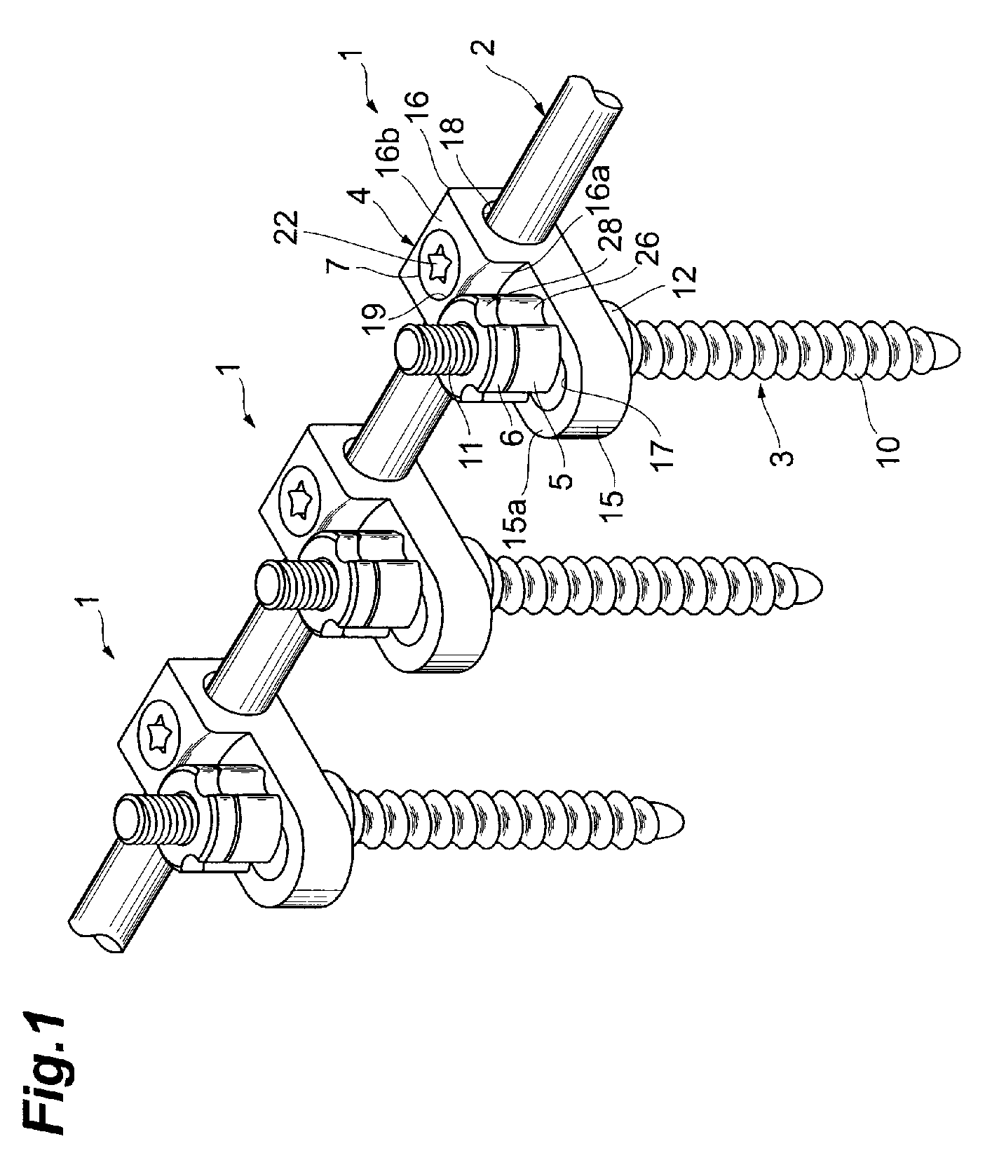 Vertebra connection member and nut driver