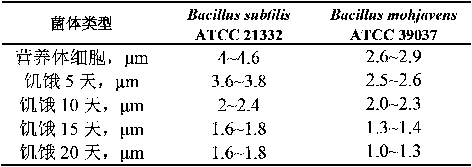 Method for conveying microorganisms to stratum